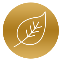 Icon LDD1