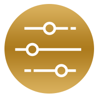Icon LDD2